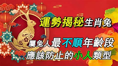 屬兔的命運|揭秘：屬兔人的一生命運和運勢